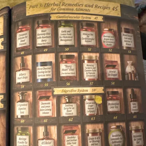 Forgotten Home Apothecary : 250 Powerful Remedies at Your Fingertips - Image 2