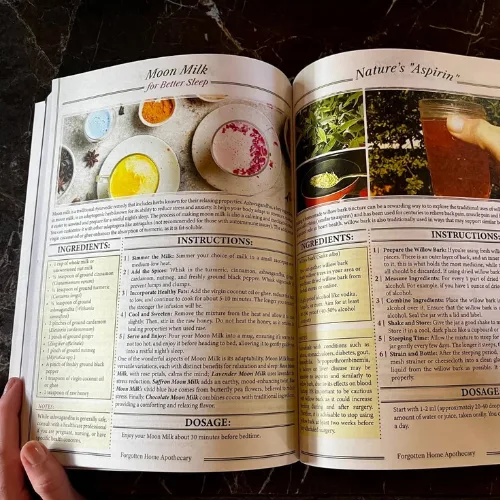 Forgotten Home Apothecary : 250 Powerful Remedies at Your Fingertips - Image 4
