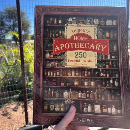 Forgotten Home Apothecary : 250 Powerful Remedies at Your Fingertips - Image 7