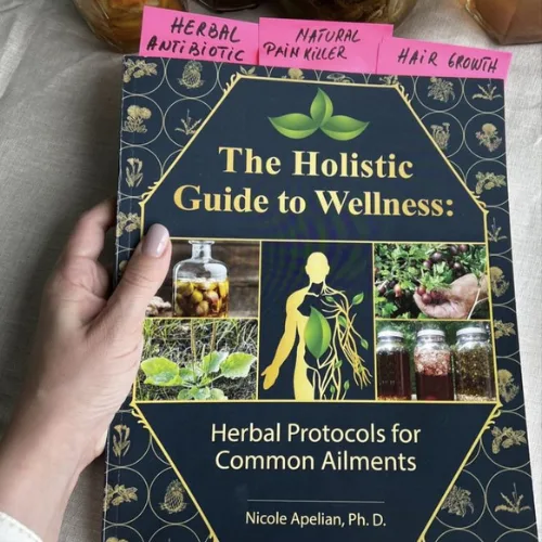 The Holistic Guide to Wellness : Herbal Protocols for Common Ailments - Image 2