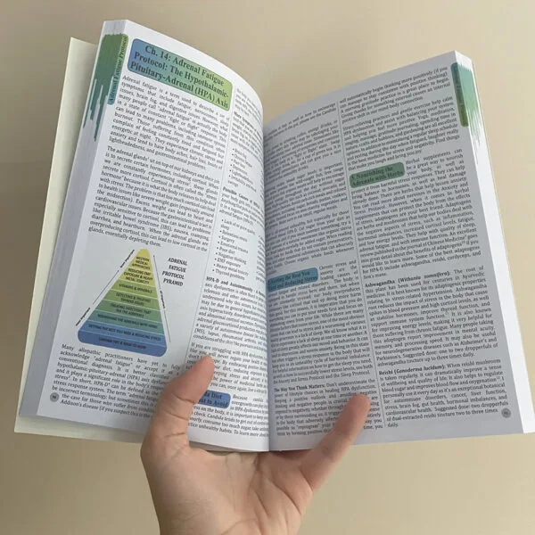 The Holistic Guide to Wellness : Herbal Protocols for Common Ailments - Image 3