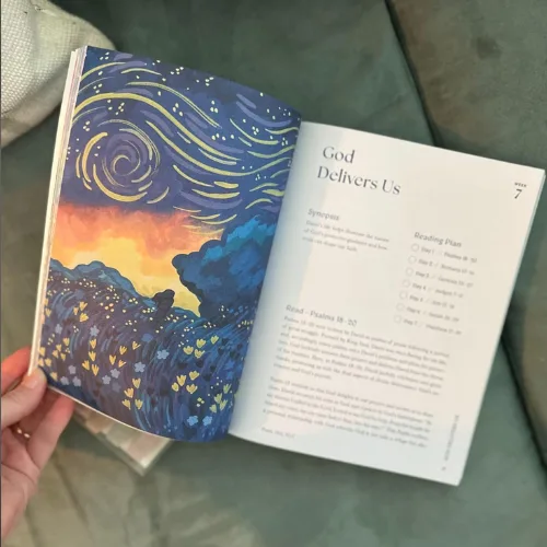 A Beautiful Year in the Bible: The 52-Week Bible Study for Women - Image 3