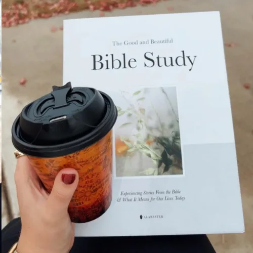 The Good and Beautiful Bible Study: Experiencing Stories From the Bible and What It Means for Our Lives Today - Image 6