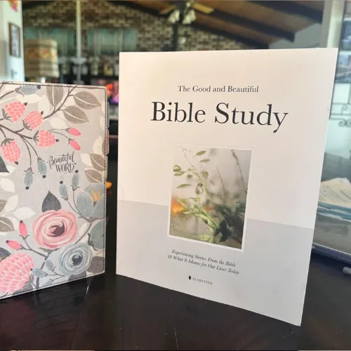 The Good and Beautiful Bible Study: Experiencing Stories From the Bible and What It Means for Our Lives Today - Image 3