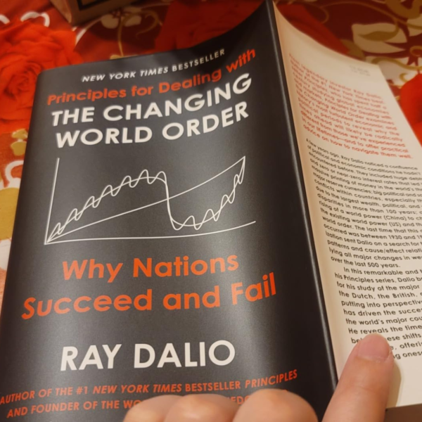 Principles for Dealing with the Changing World Order: Why Nations Succeed and Fail - Image 2