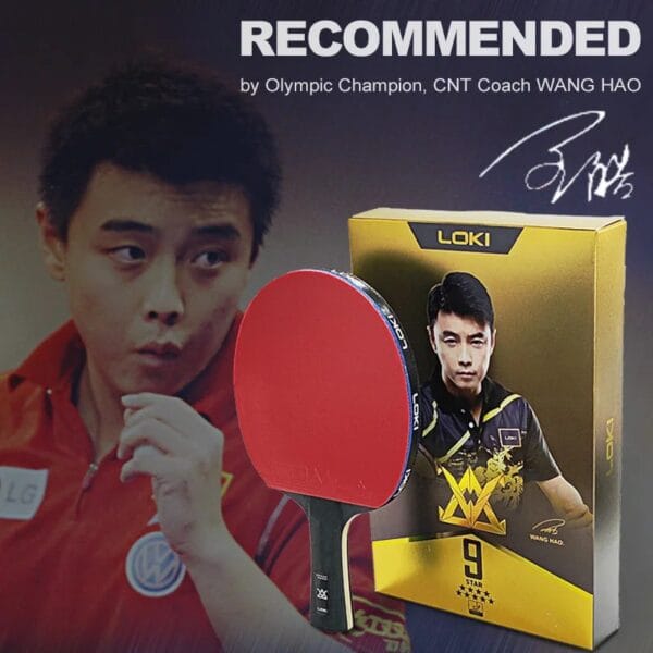 LOKI ARTHUR 9 Star Table Tennis Racket Carbon Offensive Lightweight Ping Pong Racket Paddle Bat with Sticky Rubber ITTF Approved - Image 3