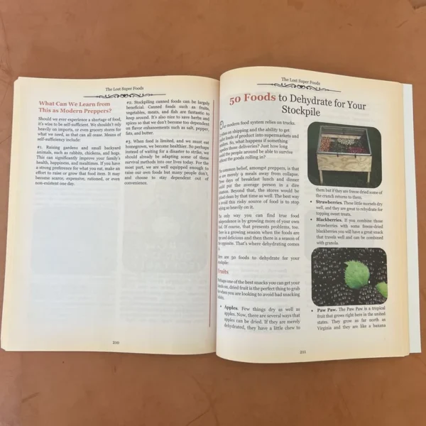 The Lost SuperFoods 126+ Survival Foods and Tips for Your Stockpile - Image 2